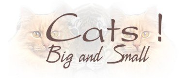 Outlook Email Stationery Email Stationary, Free Stationary by Cloudeight