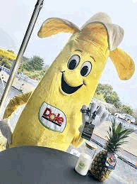 The Dole Banana...